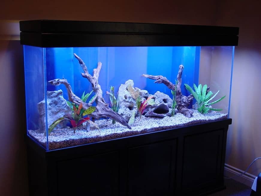 fish-tank-home-7 – MyWaterEarth&Sky