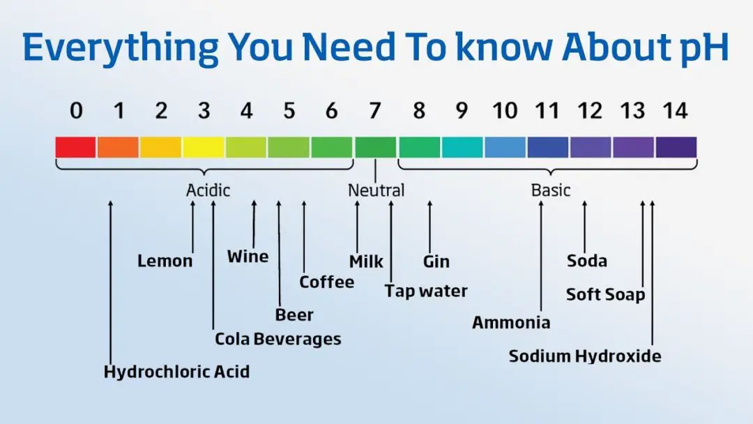 Safe Ph Level For Drinking Water Mywaterearthandsky