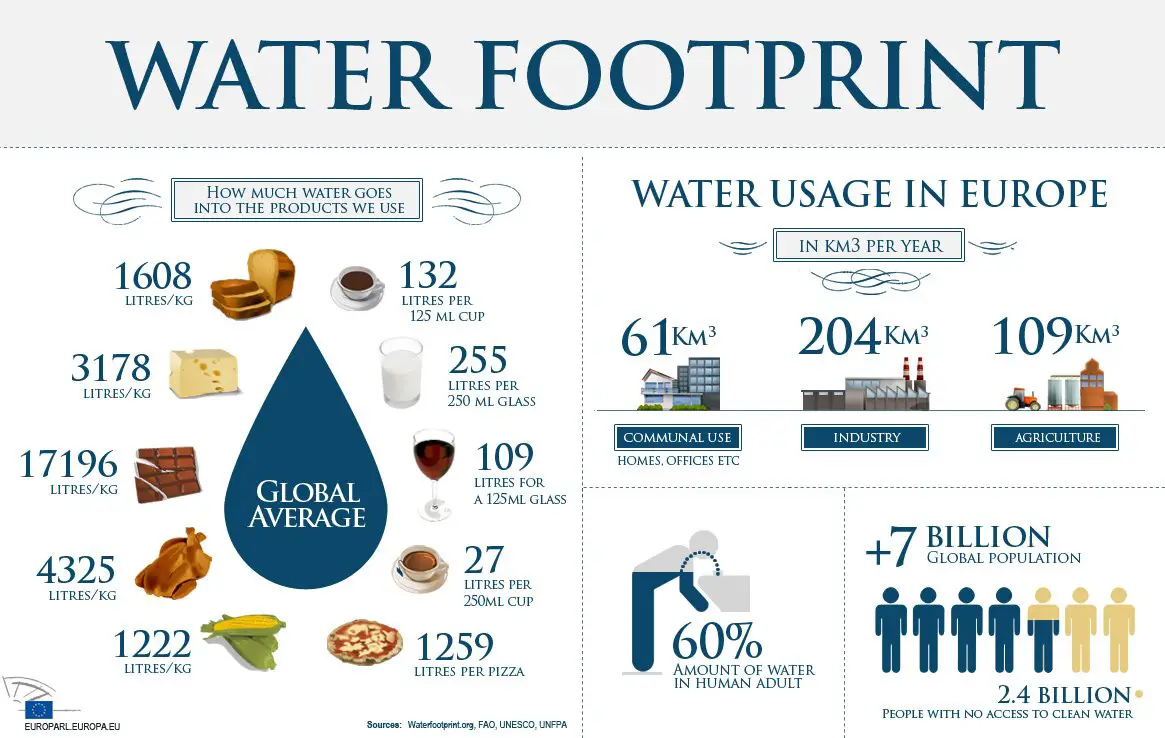 Virtual Water Footprint MyWaterEarth&Sky