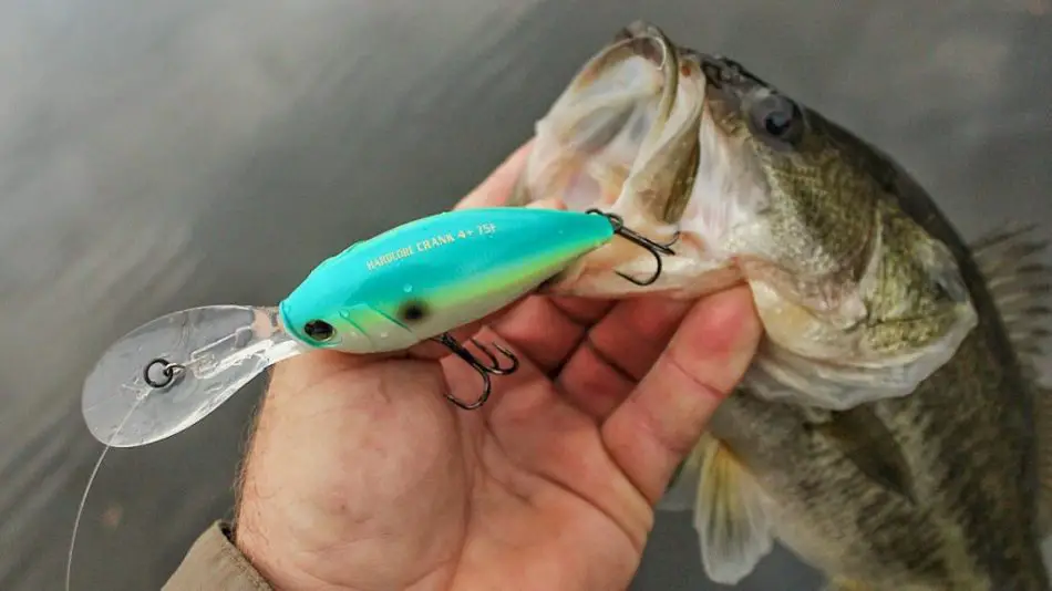 How To Tie A Crankbait Best Knots To Use With Crankbaits