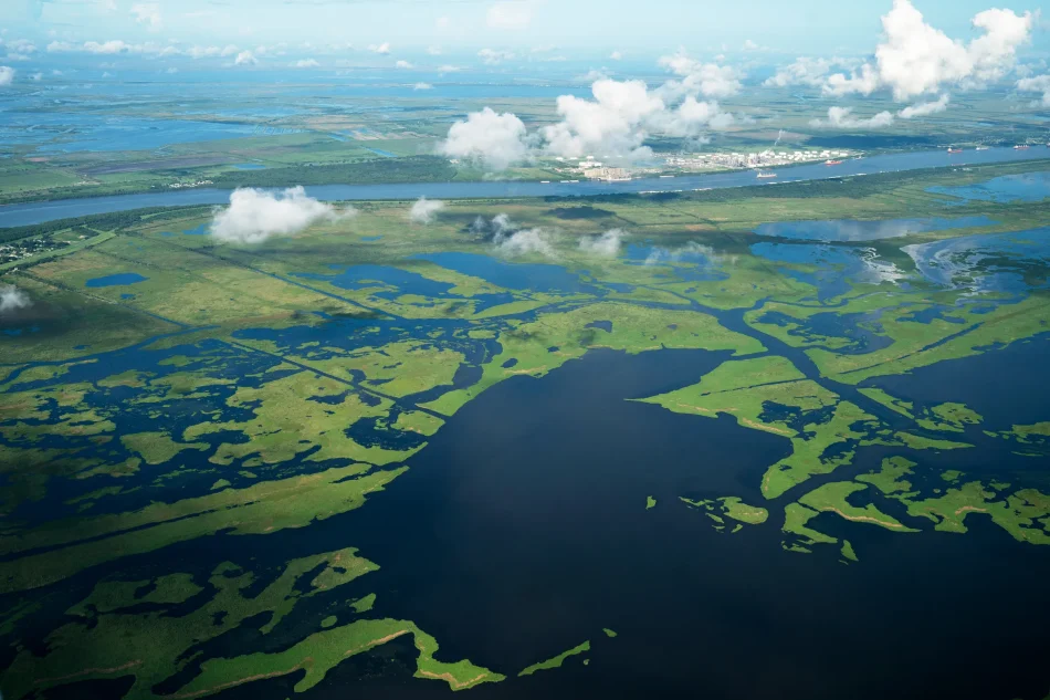 What Is A River Without Delta Called? Understanding Rivers And Deltas ...